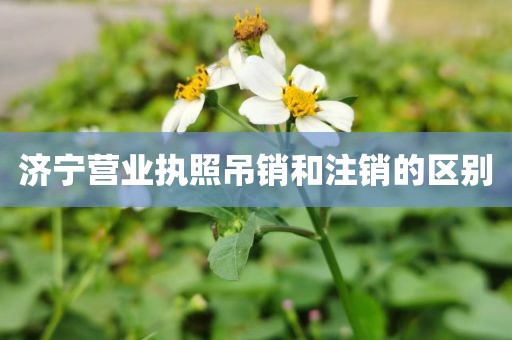 济宁营业执照吊销和注销的区别