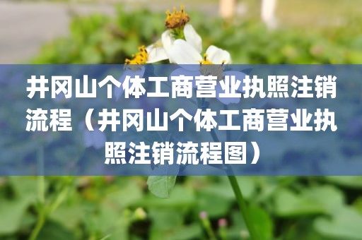 井冈山个体工商营业执照注销流程（井冈山个体工商营业执照注销流程图）