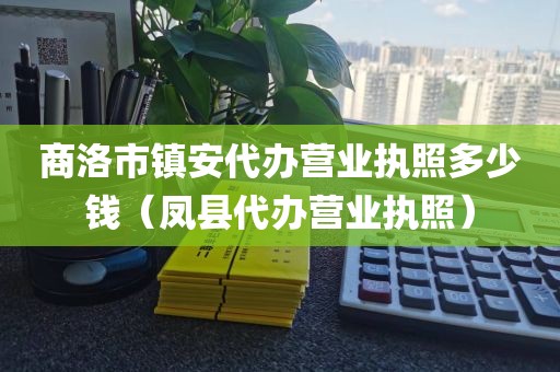 商洛市镇安代办营业执照多少钱（凤县代办营业执照）