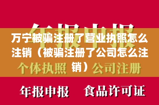 万宁被骗注册了营业执照怎么注销（被骗注册了公司怎么注销）