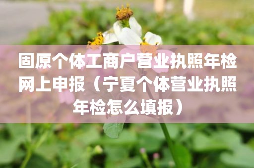 固原个体工商户营业执照年检网上申报（宁夏个体营业执照年检怎么填报）