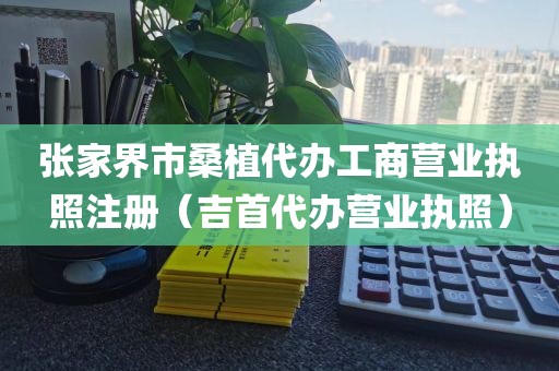 张家界市桑植代办工商营业执照注册（吉首代办营业执照）