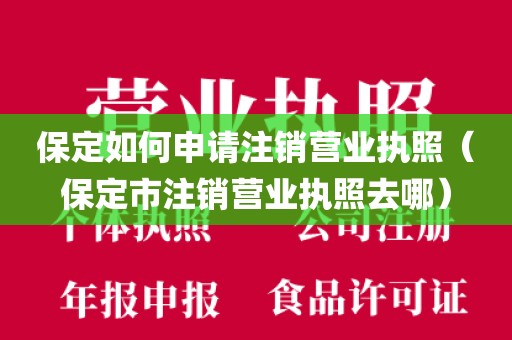保定如何申请注销营业执照(保定市注销营业执照去哪)