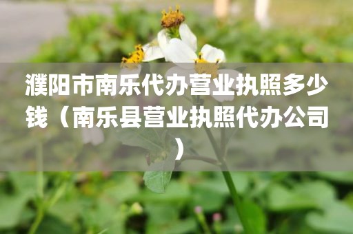 濮阳市南乐代办营业执照多少钱（南乐县营业执照代办公司）