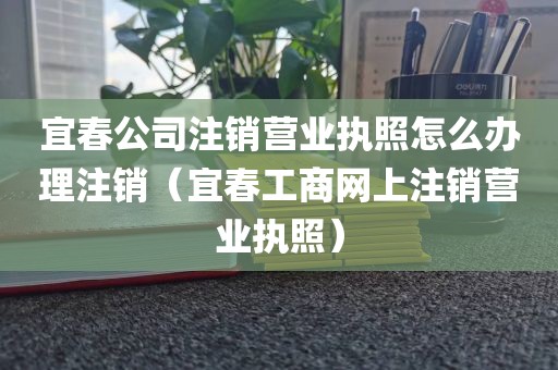 宜春公司注销营业执照怎么办理注销（宜春工商网上注销营业执照）