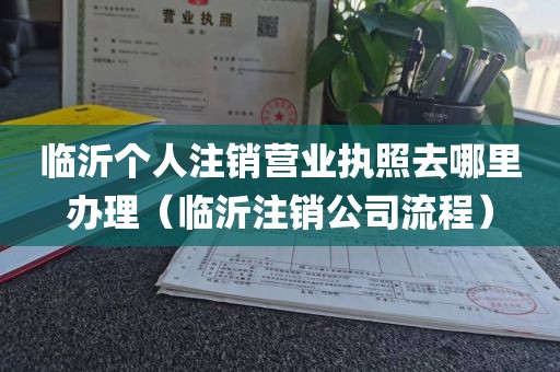 临沂个人注销营业执照去哪里办理（临沂注销公司流程）