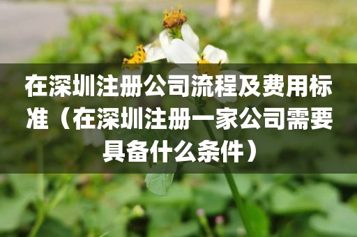 在深圳注册公司流程及费用标准（在深圳注册一家公司需要具备什么条件）