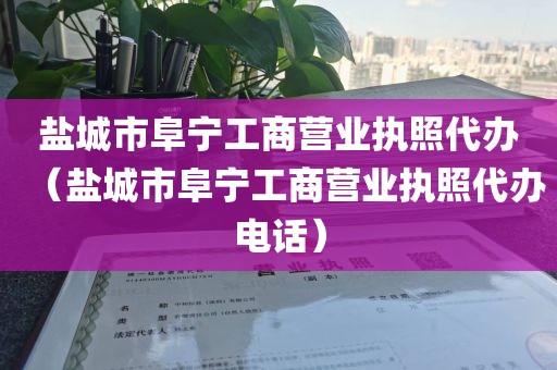 盐城市阜宁工商营业执照代办（盐城市阜宁工商营业执照代办电话）