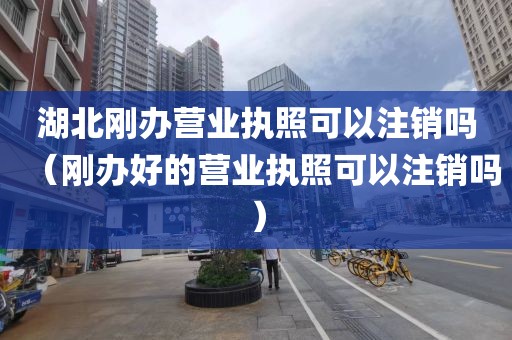 湖北刚办营业执照可以注销吗（刚办好的营业执照可以注销吗）