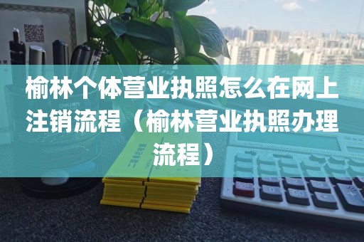 榆林个体营业执照怎么在网上注销流程（榆林营业执照办理流程）