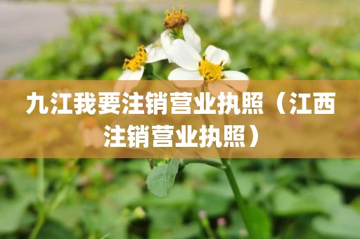 九江我要注销营业执照(江西注销营业执照)