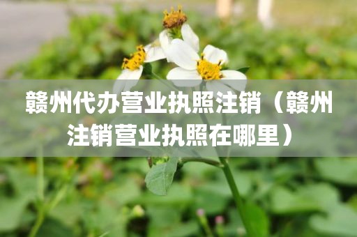 赣州代办营业执照注销（赣州注销营业执照在哪里）