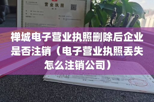 禅城电子营业执照删除后企业是否注销（电子营业执照丢失怎么注销公司）