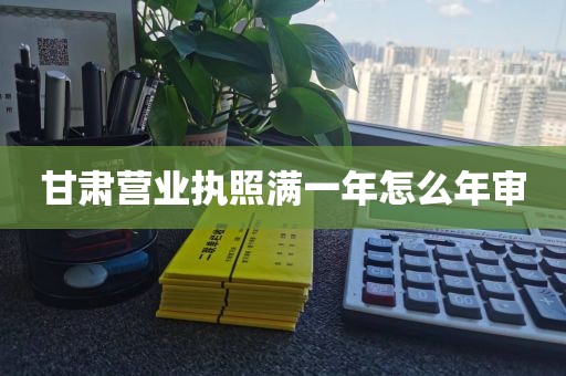 甘肃营业执照满一年怎么年审