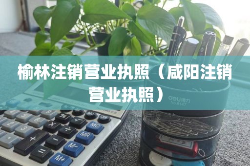 榆林注销营业执照（咸阳注销营业执照）