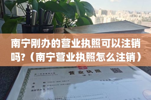 南宁刚办的营业执照可以注销吗?（南宁营业执照怎么注销）