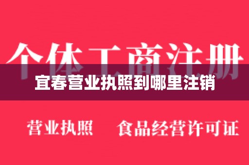 宜春营业执照到哪里注销