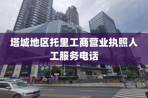 塔城地区托里工商营业执照人工服务电话