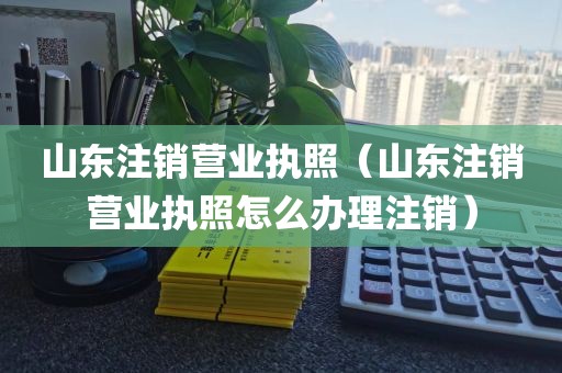 山东注销营业执照（山东注销营业执照怎么办理注销）