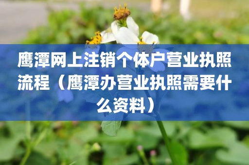 鹰潭网上注销个体户营业执照流程（鹰潭办营业执照需要什么资料）