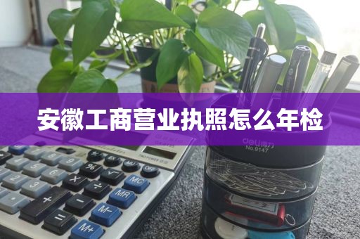 安徽工商营业执照怎么年检