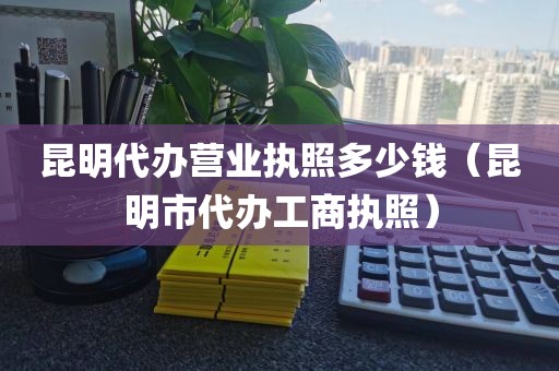 昆明代办营业执照多少钱（昆明市代办工商执照）
