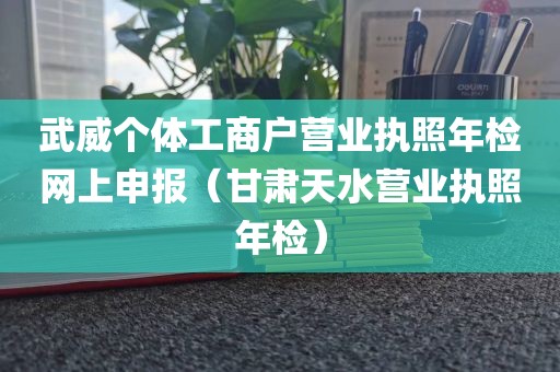 武威个体工商户营业执照年检网上申报(甘肃天水营业执照年检)