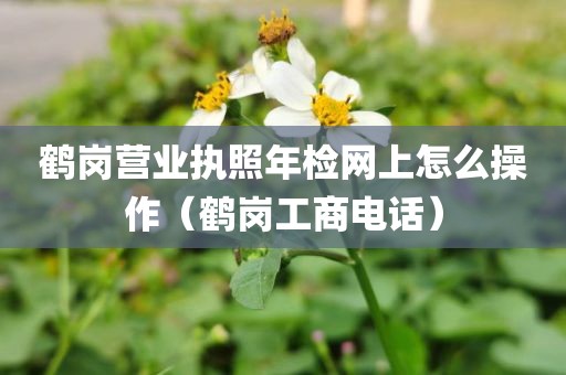 鹤岗营业执照年检网上怎么操作（鹤岗工商电话）