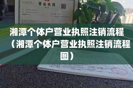 湘潭个体户营业执照注销流程（湘潭个体户营业执照注销流程图）