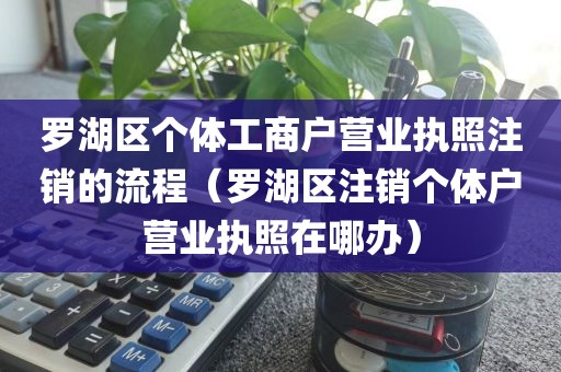 罗湖区个体工商户营业执照注销的流程（罗湖区注销个体户营业执照在哪办）