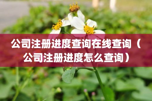 公司注册进度查询在线查询（公司注册进度怎么查询）