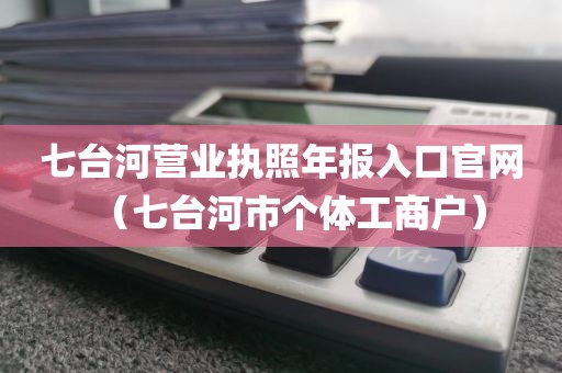 七台河营业执照年报入口官网(七台河市个体工商户)