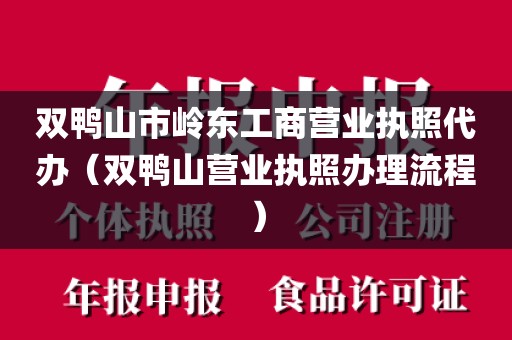双鸭山市岭东工商营业执照代办（双鸭山营业执照办理流程）