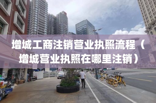 增城工商注销营业执照流程(增城营业执照在哪里注销)