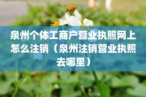 泉州个体工商户营业执照网上怎么注销（泉州注销营业执照去哪里）