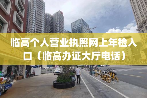 临高个人营业执照网上年检入口（临高办证大厅电话）