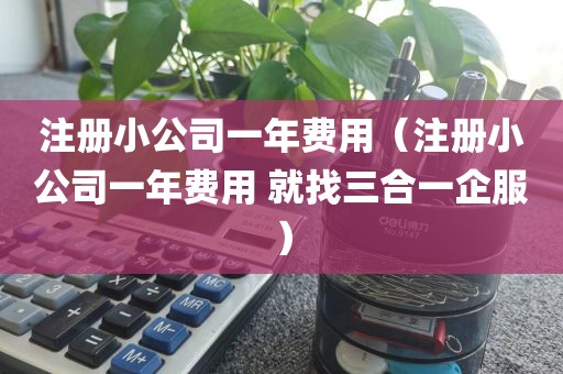 注册小公司一年费用（注册小公司一年费用 就找三合一企服）