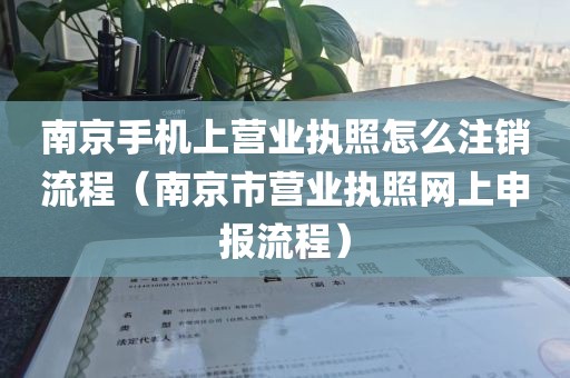 南京手机上营业执照怎么注销流程（南京市营业执照网上申报流程）