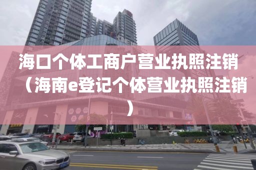 海口个体工商户营业执照注销(海南e登记个体营业执照注销)