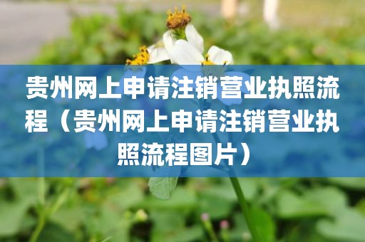 贵州网上申请注销营业执照流程（贵州网上申请注销营业执照流程图片）