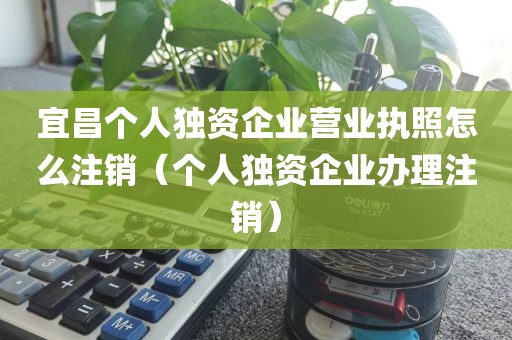 宜昌个人独资企业营业执照怎么注销（个人独资企业办理注销）