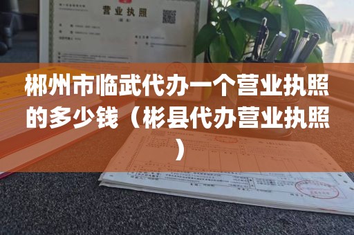 郴州市临武代办一个营业执照的多少钱（彬县代办营业执照）