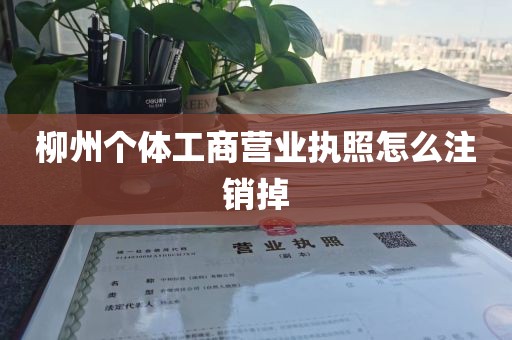 柳州个体工商营业执照怎么注销掉