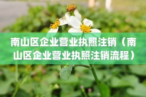 南山区企业营业执照注销（南山区企业营业执照注销流程）