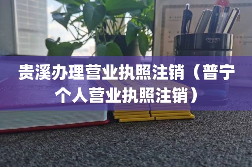 贵溪办理营业执照注销（普宁个人营业执照注销）