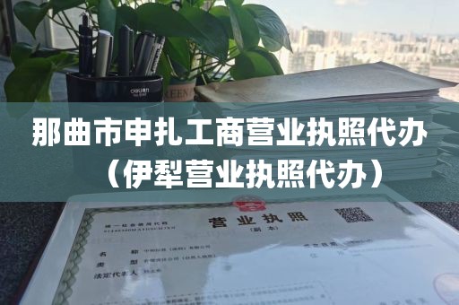 那曲市申扎工商营业执照代办（伊犁营业执照代办）