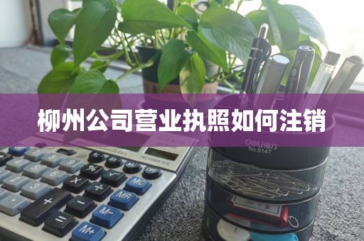 柳州公司营业执照如何注销