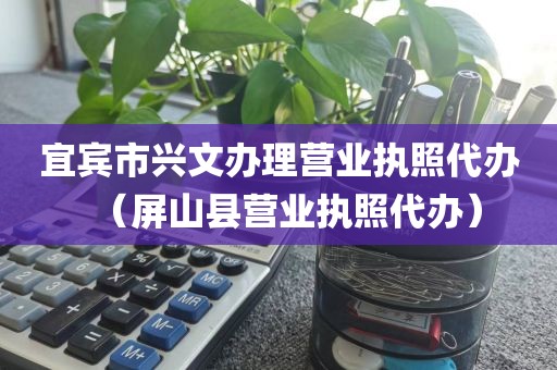 宜宾市兴文办理营业执照代办（屏山县营业执照代办）