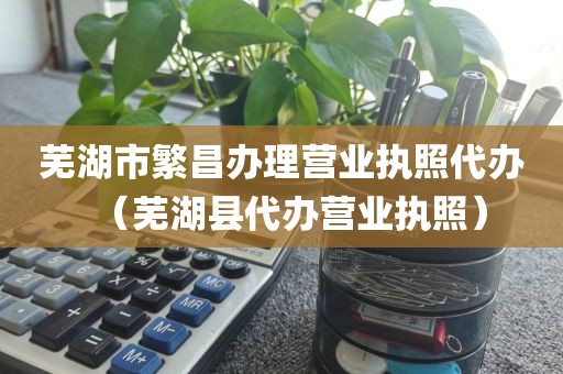 芜湖市繁昌办理营业执照代办（芜湖县代办营业执照）