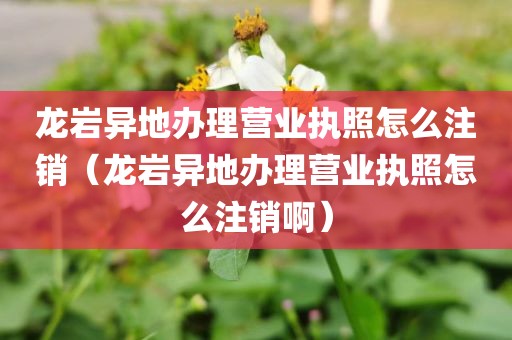 龙岩异地办理营业执照怎么注销（龙岩异地办理营业执照怎么注销啊）